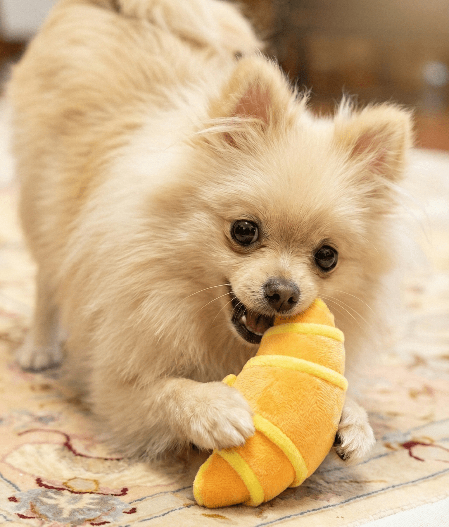 Gemini_Generated_Image_ec8368ec8368ec83-min